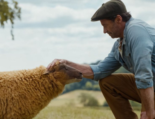 The Sheep Detectives